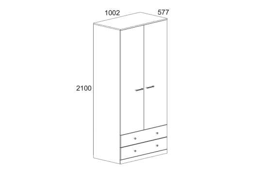 Шкаф 2DG2S Джаггер - купить за 25599.00 руб.