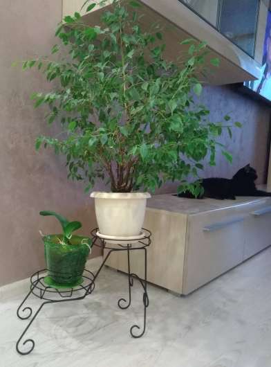 Подцветочница Мелодия - купить за 702.00 руб.